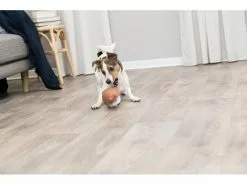 Trixie Hunde-Spielzeug Hund, 14 cm 9 Trixie Hunde-Spielzeug Hund, 14 cm -Hundewelt Verkäufe 230057686 xxl