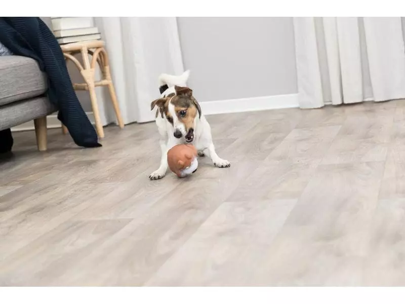 Trixie Hunde-Spielzeug Hund, 14 cm 5 Trixie Hunde-Spielzeug Hund, 14 cm - Image 5