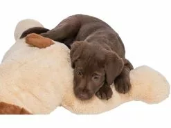 Trixie Ankuschelhund Benny SOFT Edition, 75 cm -Hundewelt Verkäufe 230059044 xxl