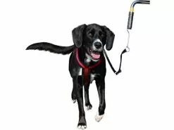 Trixie Biker-Set Friends on Tour