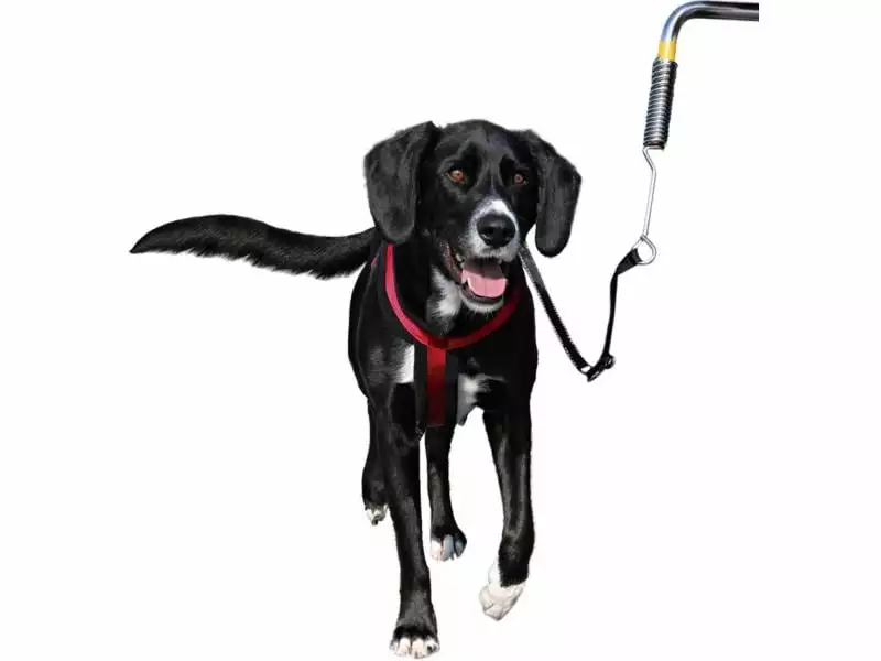 Trixie Biker-Set Friends on Tour 1 Trixie Biker-Set Friends on Tour