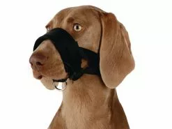 Trixie Maulschlaufe Nylon L