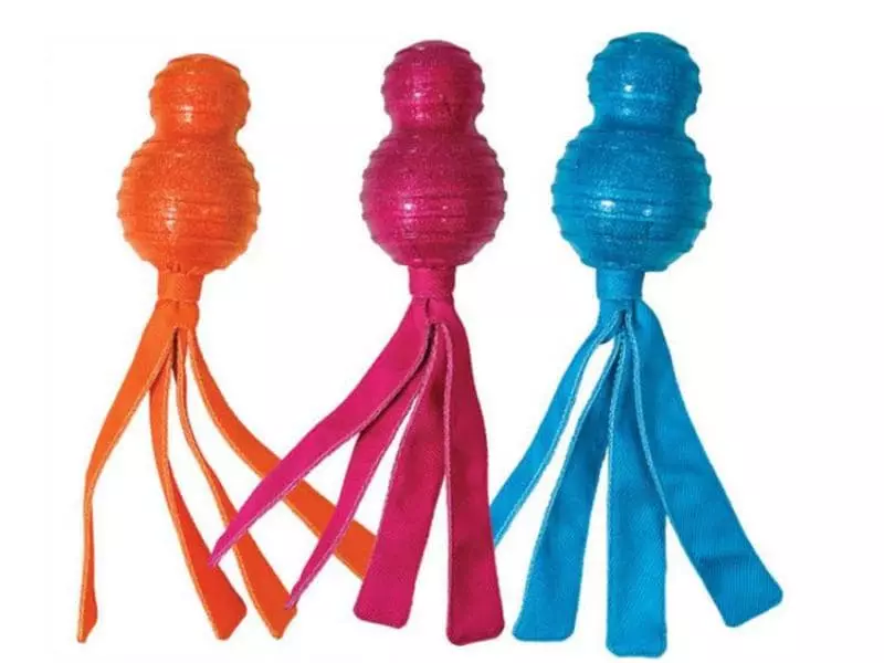 Hunde-Spielzeug Kong Wubba Comet Large 1 Hunde-Spielzeug Kong Wubba Comet Large