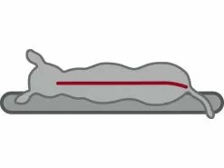 Trixie Hunde-Kissen Vital Best of all Breeds 60 x 40 cm 7 Trixie Hunde-Kissen Vital Best of all Breeds 60 x 40 cm -Hundewelt Verkäufe 52086677 xxl