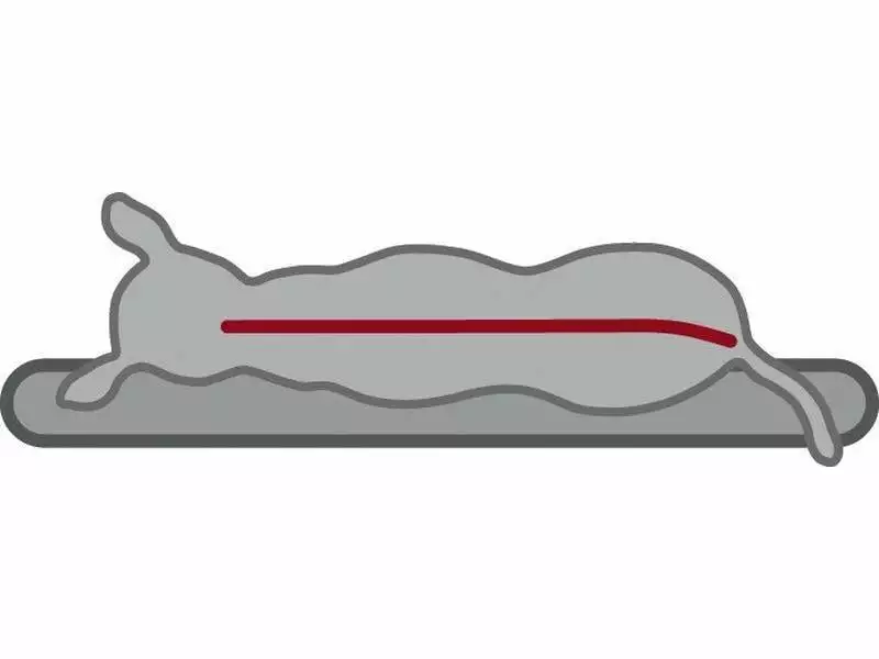 Trixie Hunde-Kissen Vital Best of all Breeds 60 x 40 cm 4 Trixie Hunde-Kissen Vital Best of all Breeds 60 x 40 cm - Image 4