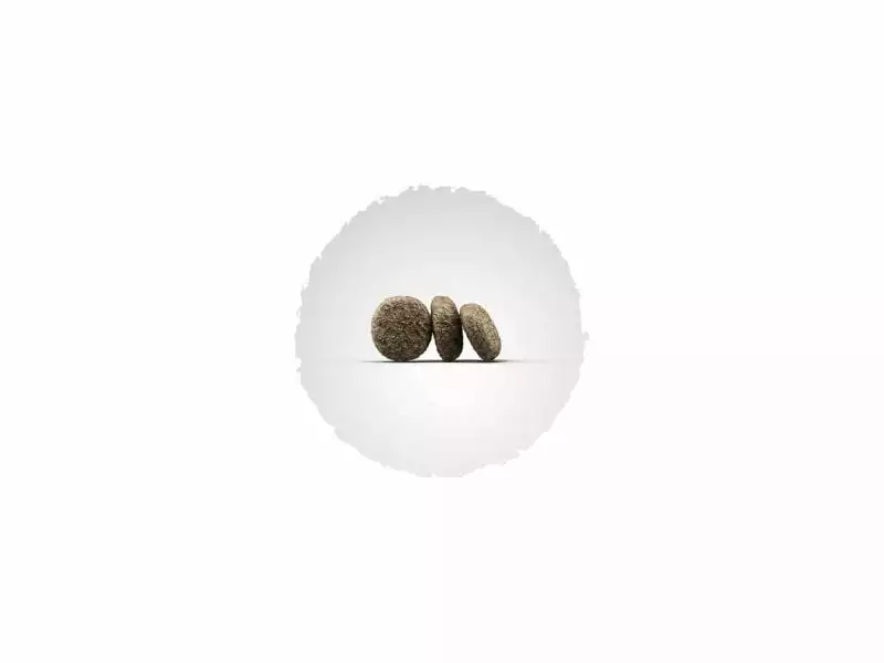 Josera Trockenfutter MiniDeluxe Small Dogs, 15 kg 2 Josera Trockenfutter MiniDeluxe Small Dogs, 15 kg - Image 2