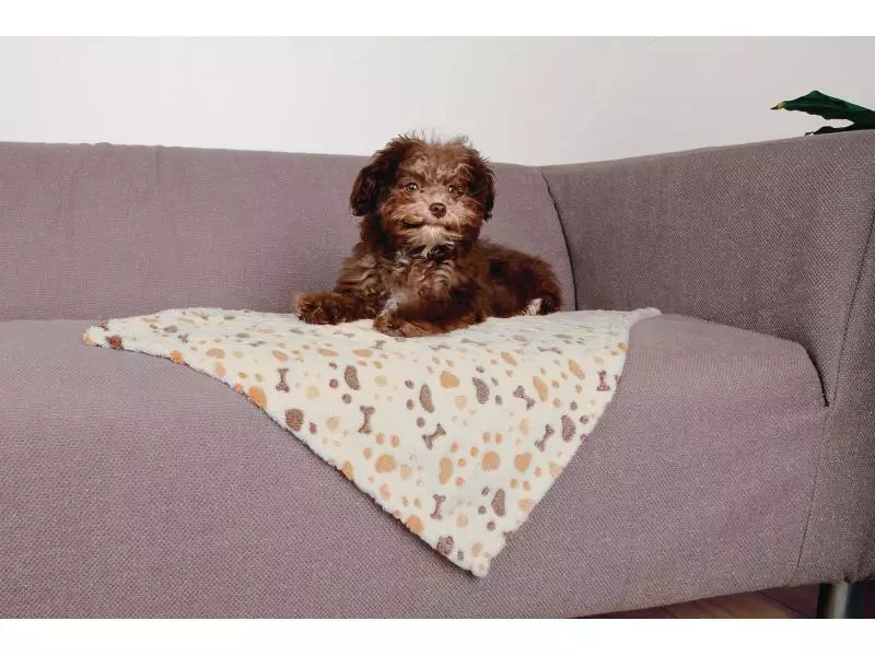 Trixie Hunde-Decke Lingo 75 x 50 cm 2 Trixie Hunde-Decke Lingo 75 x 50 cm - Image 2