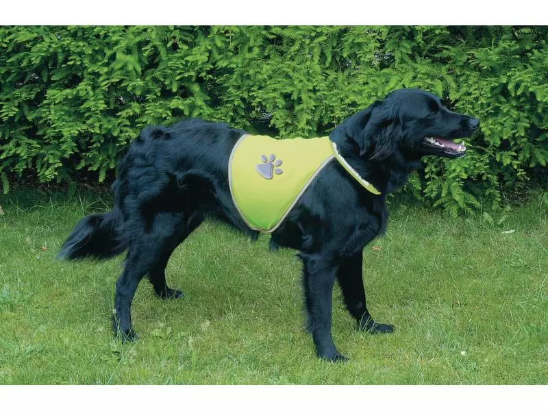 Trixie Sicherheitsweste Safer Life XL 2 Trixie Sicherheitsweste Safer Life XL - Image 2