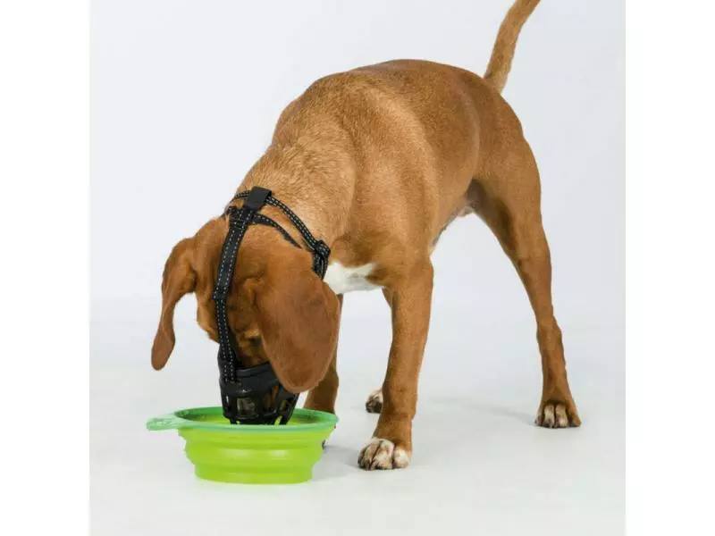 Trixie Maulkorb Muzzle Flex L - XL 4 Trixie Maulkorb Muzzle Flex L - XL - Image 4