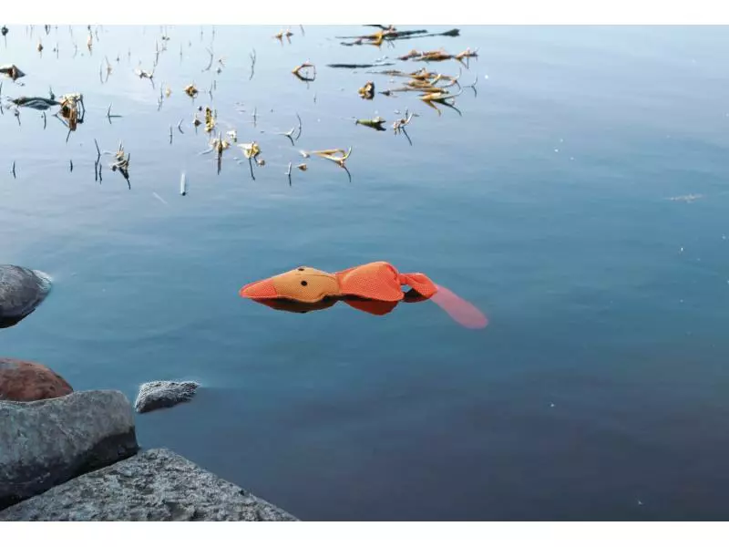 Trixie Hunde-Spielzeug Swimming Duck mit Stimme 2 Trixie Hunde-Spielzeug Swimming Duck mit Stimme - Image 2