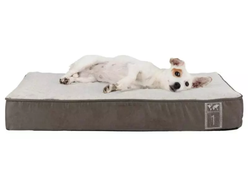 Trixie Hunde-Kissen Vital Best of all Breeds 60 x 40 cm 2 Trixie Hunde-Kissen Vital Best of all Breeds 60 x 40 cm - Image 2