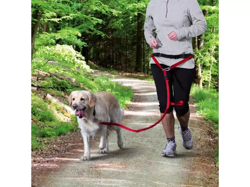 Trixie Joggingleine Bauchgurt mit Leine, rot 2 Trixie Joggingleine Bauchgurt mit Leine, rot - Image 2