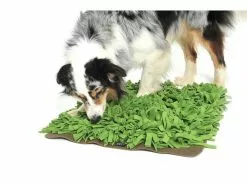 KNAUDER'S BEST Strategie-Spiel Schnüffelrasen