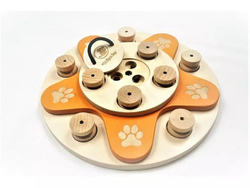 My Intelligent Dogs Strategie-Spiel Hundeblume aus Holz 3 My Intelligent Dogs Strategie-Spiel Hundeblume aus Holz - Image 3