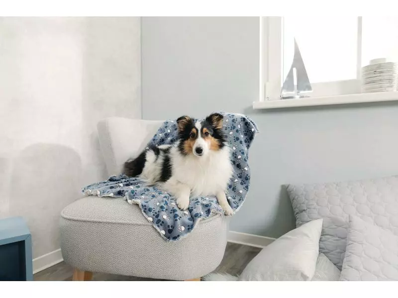Trixie Hunde-Decke Tammy 100 x 70 cm 3 Trixie Hunde-Decke Tammy 100 x 70 cm - Image 3