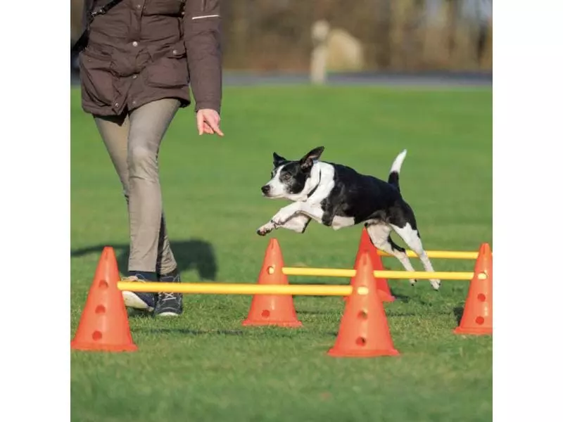 Trixie Agility Hürde Activity Hindernis Set L 4 Trixie Agility Hürde Activity Hindernis Set L - Image 4