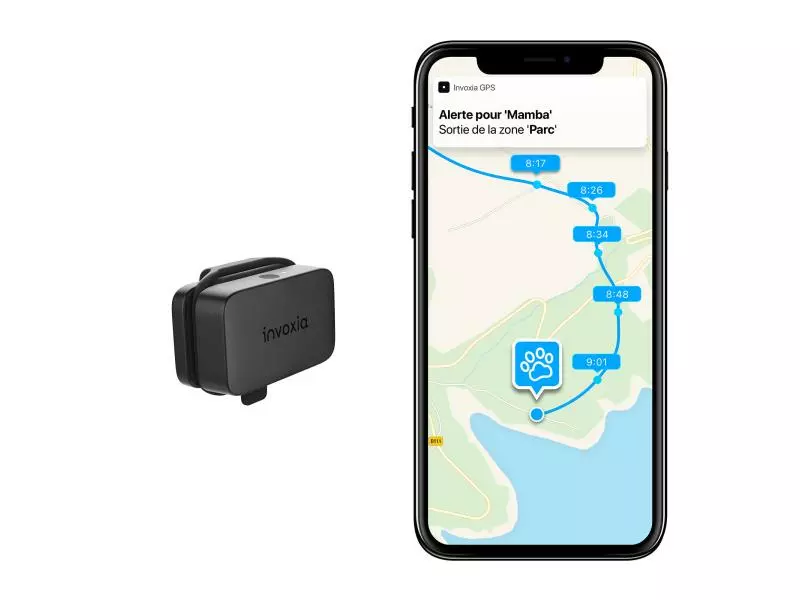 Invoxia GPS-Tracker für Katzen und Hunde inkl. Befestigungsclips 2 Invoxia GPS-Tracker für Katzen und Hunde inkl. Befestigungsclips - Image 2