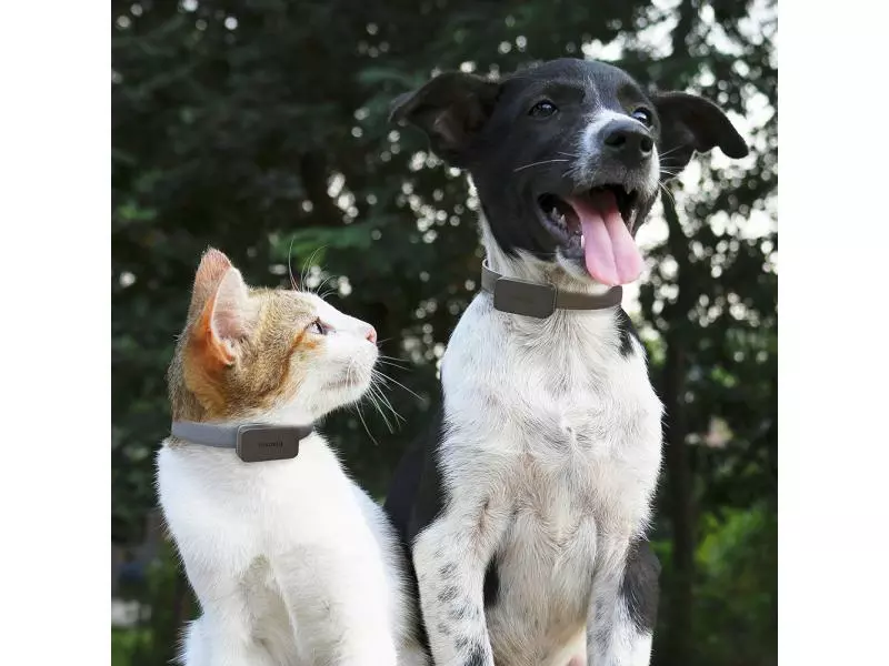 Invoxia GPS-Tracker für Katzen und Hunde inkl. Befestigungsclips 3 Invoxia GPS-Tracker für Katzen und Hunde inkl. Befestigungsclips - Image 3