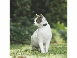 Invoxia GPS-Tracker für Katzen und Hunde inkl. Befestigungsclips 16 Invoxia GPS-Tracker für Katzen und Hunde inkl. Befestigungsclips -Hundewelt Verkäufe 52927074 xxl 1