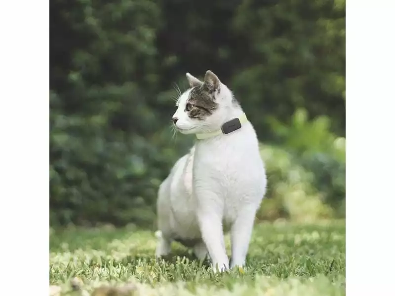 Invoxia GPS-Tracker für Katzen und Hunde inkl. Befestigungsclips 7 Invoxia GPS-Tracker für Katzen und Hunde inkl. Befestigungsclips - Image 7