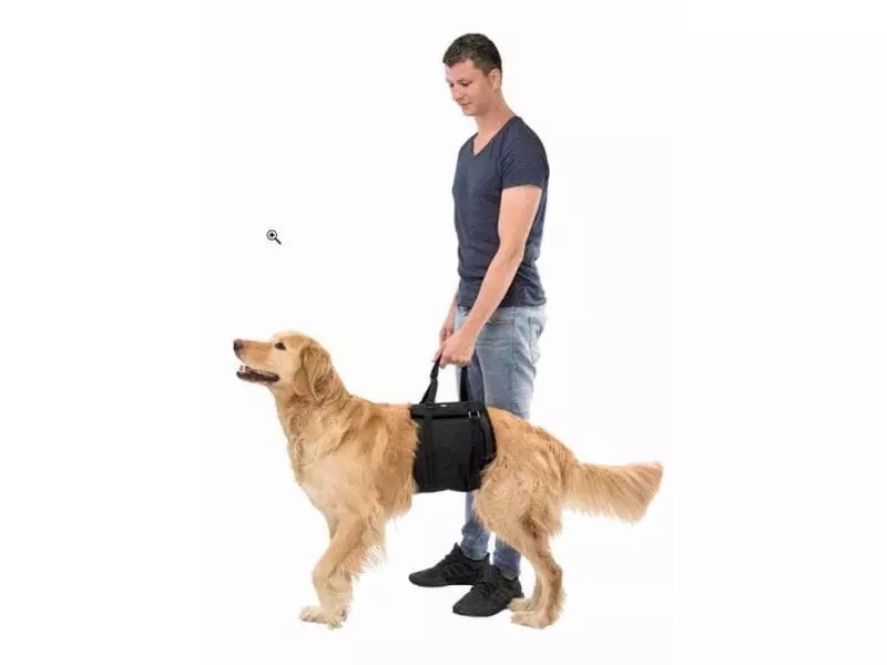 Trixie Hebehilfe für Hunde, XL 2 Trixie Hebehilfe für Hunde, XL - Image 2