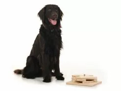 Hundespiele.ch Strategie-Spiel Drehspiel, mittelschwer 7 Hundespiele.ch Strategie-Spiel Drehspiel, mittelschwer -Hundewelt Verkäufe 53384613 xxl