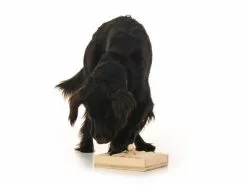 Hundespiele.ch Strategie-Spiel Zaunpfahl Kit, inkl. 5 Vierkanthölzer -Hundewelt Verkäufe 53385078 xxl