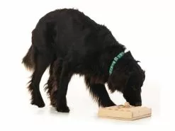 Hundespiele.ch Strategie-Spiel Zaunpfahl Kit, inkl. 5 Vierkanthölzer -Hundewelt Verkäufe 53385093 xxl