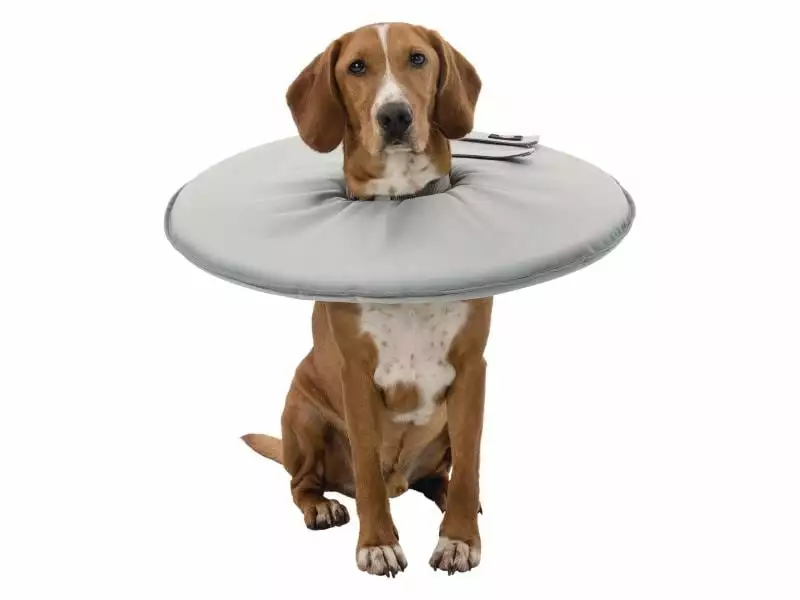 Trixie Schutzkragen S 3 Trixie Schutzkragen S - Image 3