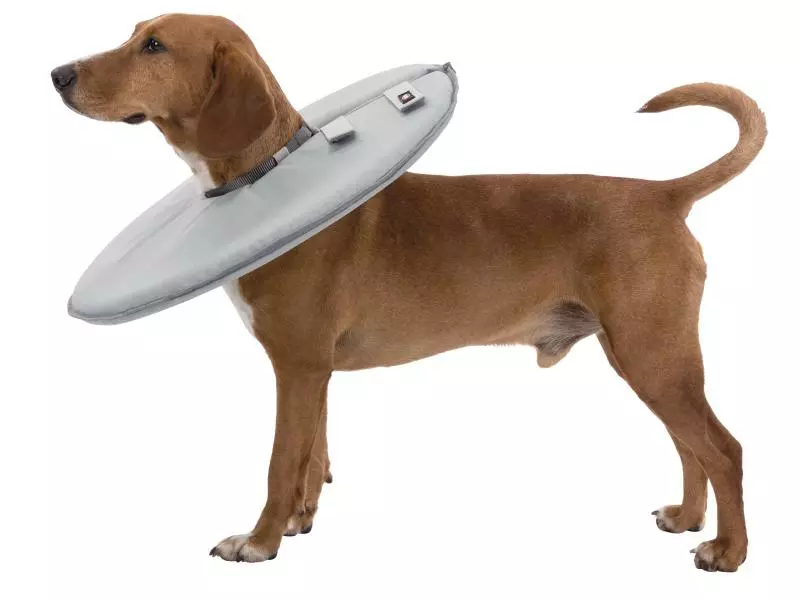 Trixie Schutzkragen S 2 Trixie Schutzkragen S - Image 2