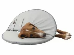 Trixie Schutzkragen M -Hundewelt Verkäufe 53704029 xxl