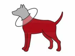 Trixie Schutzkragen L-XL 8 Trixie Schutzkragen L-XL -Hundewelt Verkäufe 53704093 xxl 4