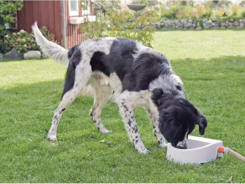 Trixie Automatische Outdoor-Tränke, 1.5 l 3 Trixie Automatische Outdoor-Tränke, 1.5 l - Image 3