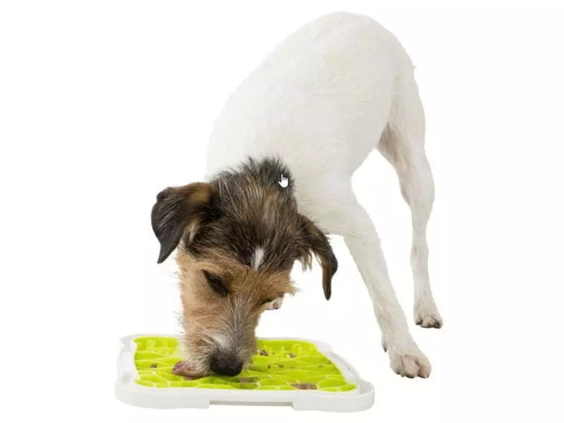 Trixie Hunde-Spielzeug Lick’n'Snack Platte 20 x 20 cm 2 Trixie Hunde-Spielzeug Lick’n'Snack Platte 20 x 20 cm - Image 2