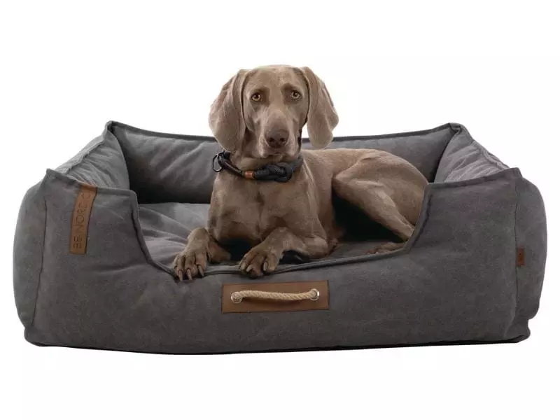 Trixie Hunde-Bett BE NORDIC Föhr 60 x 50 cm 6 Trixie Hunde-Bett BE NORDIC Föhr 60 x 50 cm - Image 6