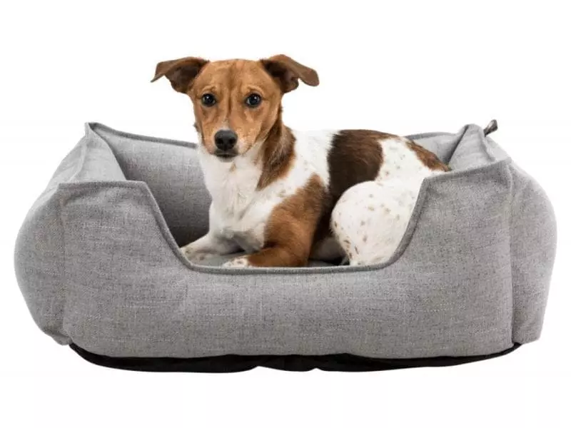 Trixie Hunde-Bett BE NORDIC Talis 60 x 50 cm 2 Trixie Hunde-Bett BE NORDIC Talis 60 x 50 cm - Image 2