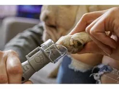 Dremel Krallenschleifer für Hunde & Katzen 7020-5 15 Dremel Krallenschleifer für Hunde & Katzen 7020-5 -Hundewelt Verkäufe 53770646 xxl