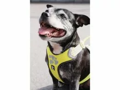 HURTTA Geschirr Weekend Warrior ECO -Hundewelt Verkäufe 53945755 xxl 9