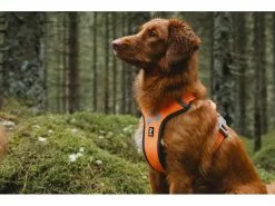 HURTTA Geschirr Weekend Warrior 17 HURTTA Geschirr Weekend Warrior -Hundewelt Verkäufe 53945770 xxl 7