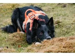 HURTTA Geschirr Weekend Warrior ECO -Hundewelt Verkäufe 53945788 xxl 2