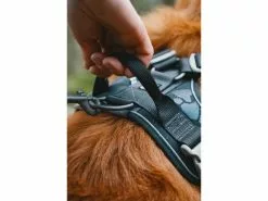 HURTTA Geschirr Weekend Warrior 11 HURTTA Geschirr Weekend Warrior -Hundewelt Verkäufe 53945861 xxl 5