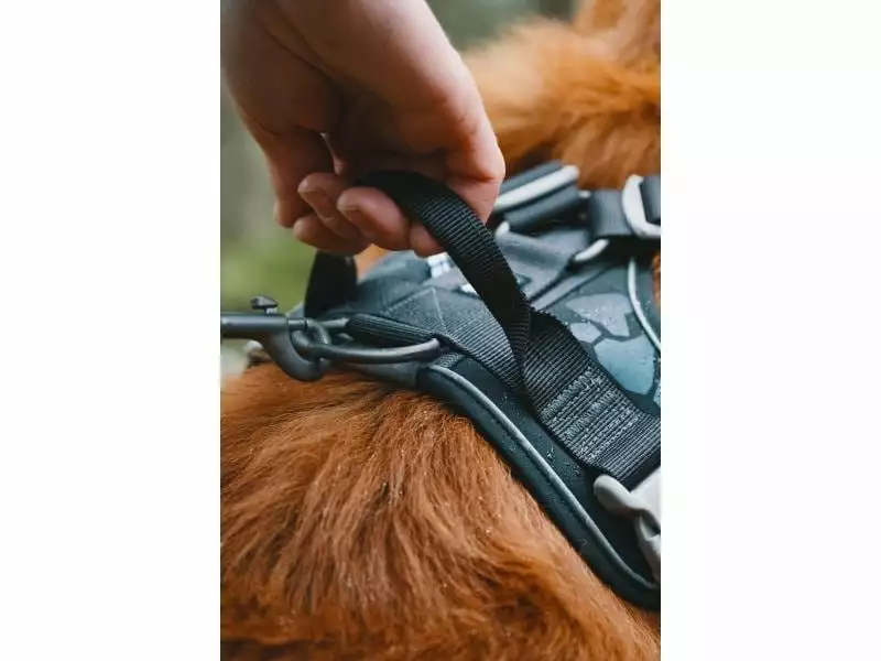 HURTTA Geschirr Weekend Warrior 3 HURTTA Geschirr Weekend Warrior - Image 3