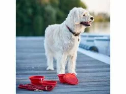 Hunter Reisenapf List aus Silikon 8 Hunter Reisenapf List aus Silikon -Hundewelt Verkäufe 56316190 xxl