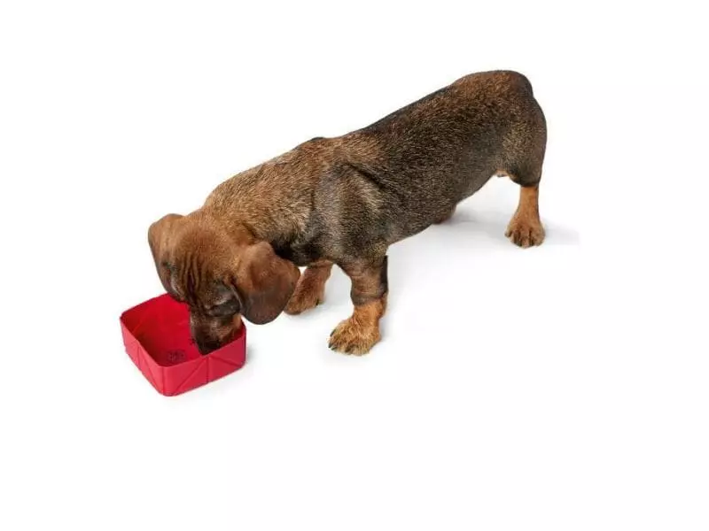 Hunter Reisenapf List Silikon, faltbar 2 Hunter Reisenapf List Silikon, faltbar - Image 2