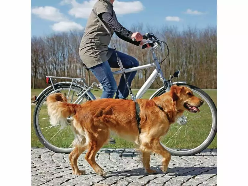 Trixie Fahrrad- und Joggingleine Dog Activity 1-2m / 2.5cm 2 Trixie Fahrrad- und Joggingleine Dog Activity 1-2m / 2.5cm - Image 2