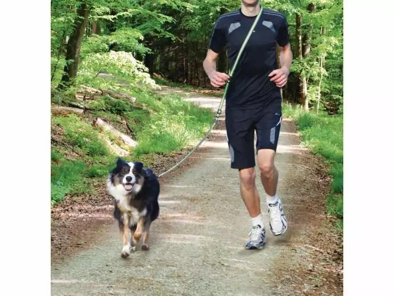 Trixie Joggingleine Dog Activity 1.8 m / 2 cm 2 Trixie Joggingleine Dog Activity 1.8 m / 2 cm - Image 2