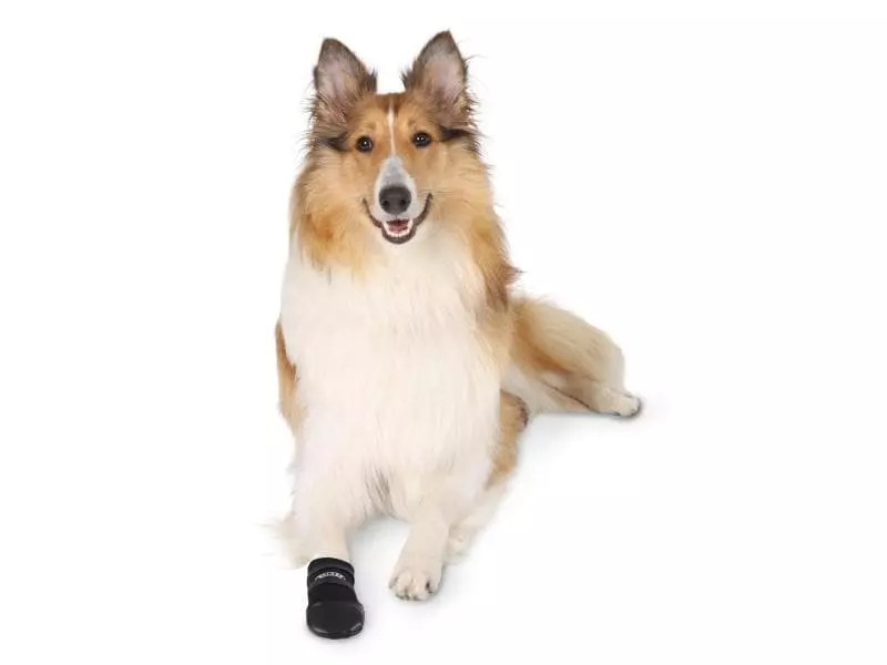 Trixie Pfotenschutz Walker Care L 3 Trixie Pfotenschutz Walker Care L - Image 3
