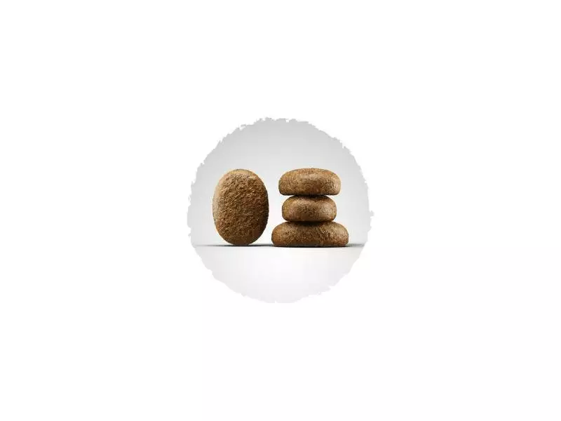 Josera Trockenfutter Daily Adult Optiness, 15 kg 2 Josera Trockenfutter Daily Adult Optiness, 15 kg - Image 2