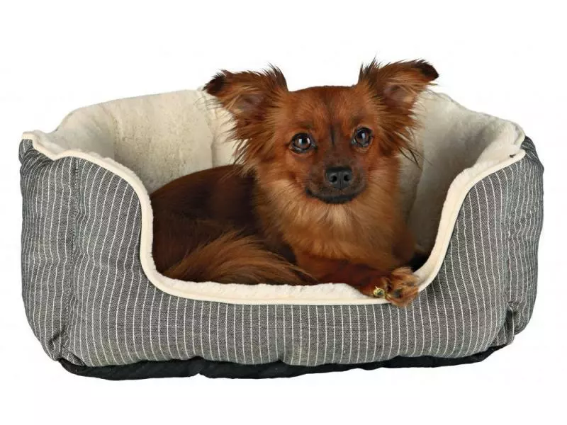 Trixie Hunde-Bett Davin 60 x 45 cm 2 Trixie Hunde-Bett Davin 60 x 45 cm - Image 2