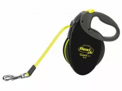 Flexi Hundeleine Giant M Gurt, 8 m
